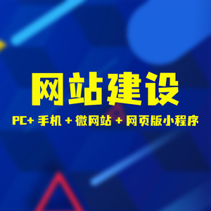 网站建设（标准版）